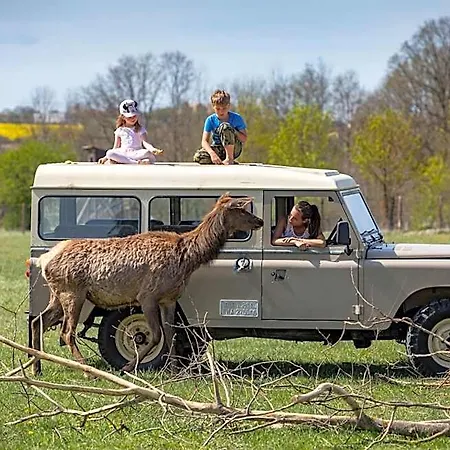 Safari - Bison Hotell