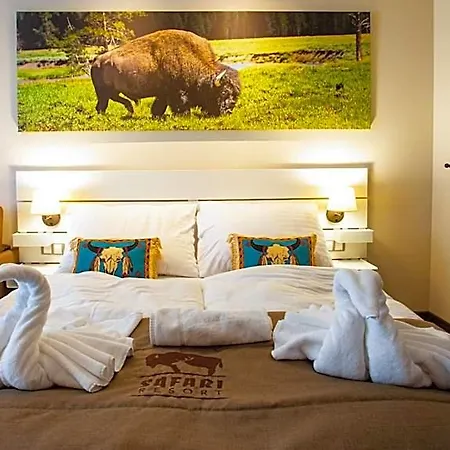 Safari - Bison * Borovany (Ceske Budejovice)