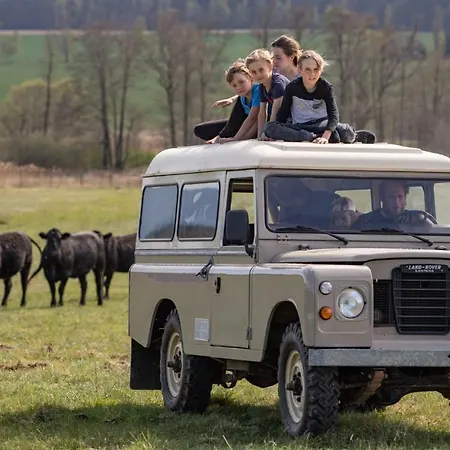 Safari - Bison Borovany (Ceske Budejovice)