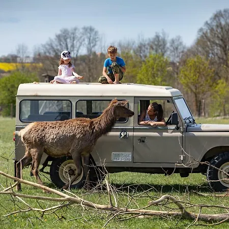Safari - Bison * Borovany (Ceske Budejovice)