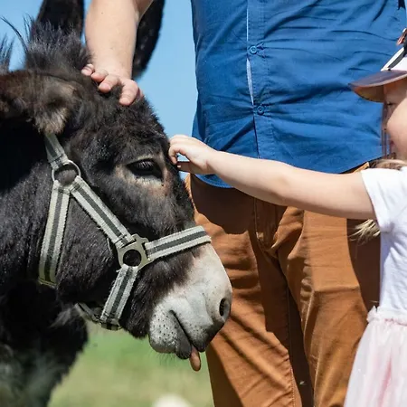 Safari - Bison Hotel Borovany (Ceske Budejovice)