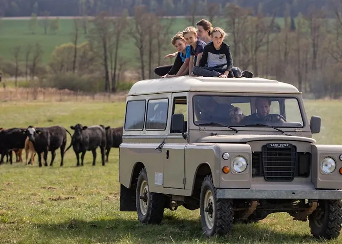 Safari - Bison Borovany (Ceske Budejovice)