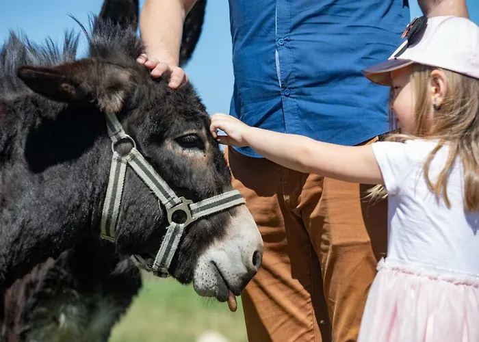 Safari - Bison Hotel Borovany (Ceske Budejovice)
