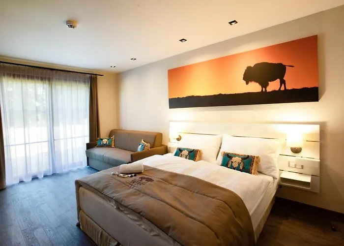Safari - Bison *